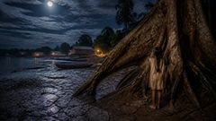 La noche en que la samaúma aprendió a caminar