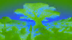 The Story of the Magic Tree