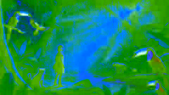 The Tale of the Enchanted Amazon