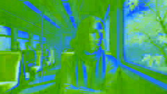 La chica del tren