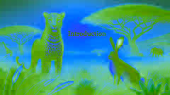 Die Geschichte vom Leoparden und dem Hasen