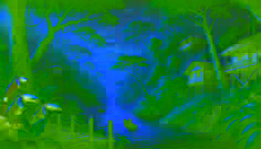 The Phantom Dog of Tortuguero