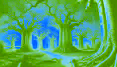 The Baobab Grove of Ségou