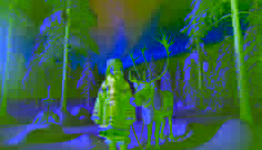 Die Nordlichter und die Rentiere