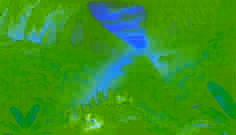 The Guácharo Cave’s Shining Spirit