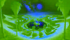 El Oasis Bañado por la Luna