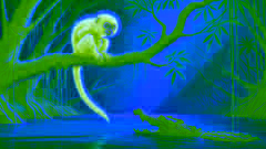 The Monkey and the Crocodile: A Tale of Cleverness and Adaptability