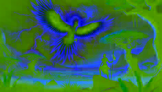 The Story of the Lightning Bird