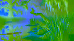 The Crocodile and the Monkey: A Tale of Wit and Survival