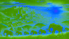 Les éléphants de l'ancien Oyo