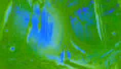 The Enchanted Ceiba Tree 