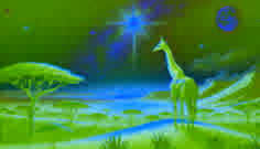 Der Stern der Giraffe im Karoo