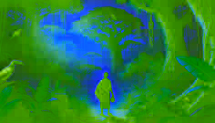Os Mistérios dos Tambores da Floresta