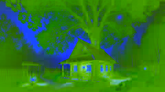 The Lime Tree