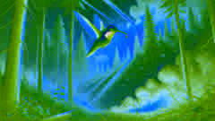 Die Legende des Kolibris