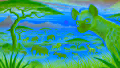 Why the Hyena Limps
