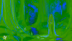 The Witch of Ybycuí