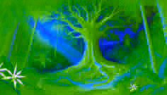 The Enchanted Ceiba of Bayamón
