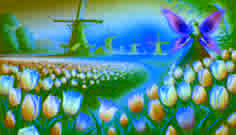 The Tulip Fairy and the Windmills
