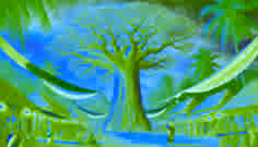 El árbol baobab danzante
