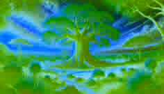 Der heilige Baobab von Tsavo