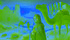 Le Chameau Parlant de Ghadamès