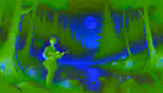 The Neck and the Fiddle 
