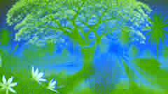 Song of the Ñandutí Spider
