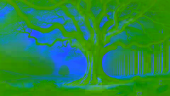 The Legend of the Dogwood Tree