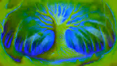  The Tale of Yggdrasil (World Tree)