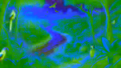 The Story of the Amazon River