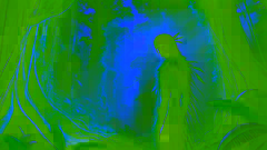 The Tale of the Jurupari
