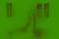 Dancing with a Ghost