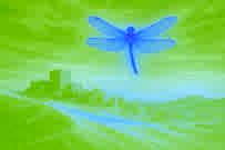 The Desert Dragonfly Legend