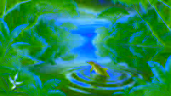 The Story of the Juruá River Dolphins 