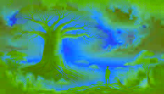 Le Baobab Parleur au Kruger