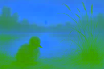 El Patito Feo