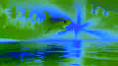 The Shark God of Pohnpei