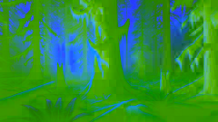 Cedar Woman’s Gift: Wisdom of the Great Tree Spirit