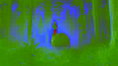 The Cassowary’s Revenge