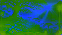 Song of the Silk-Cotton Tree