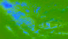 Wood of One Hundred Oaks - A Tale of Love's Strength
